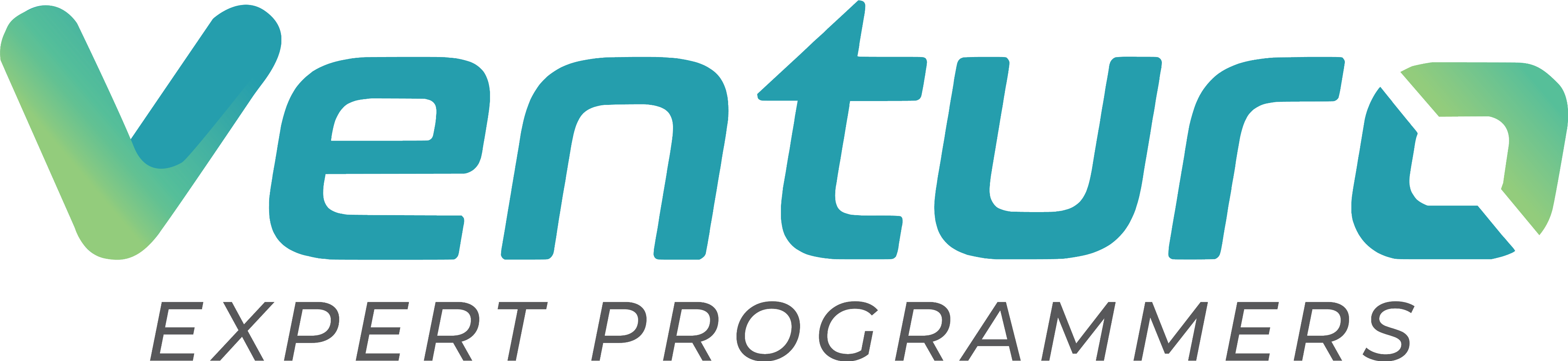 Venturo — Expert Programmers